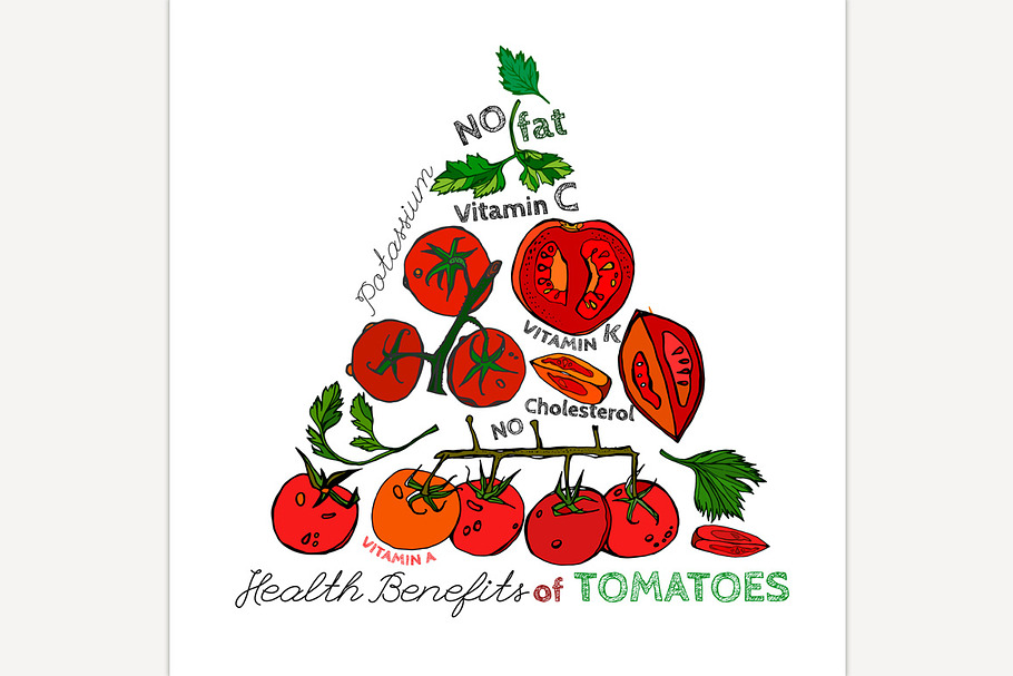 Tomato Vector Image