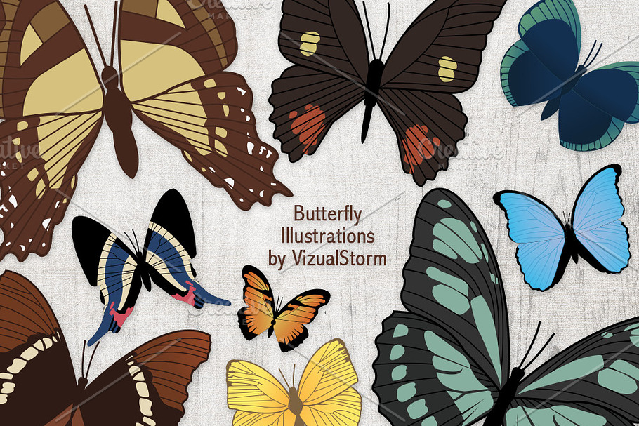 Vintage Butterfly Illustrations in Illustrations - product preview 8