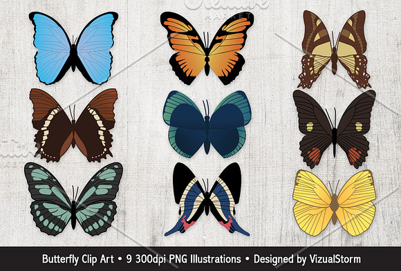 Vintage Butterfly Illustrations in Illustrations - product preview 1