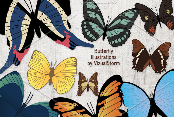 Vintage Butterfly Illustrations in Illustrations - product preview 2