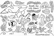 Doodle Marine Life Clipart