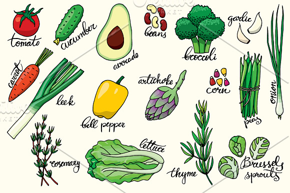 19 hand drawn vegetables + patterns in Illustrations - product preview 1