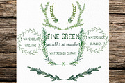 Fine green rosemary. watercolor