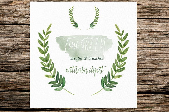 Fine green rosemary. watercolor in Illustrations - product preview 1
