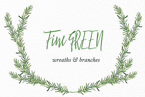 Fine green rosemary. watercolor in Illustrations - product preview 2
