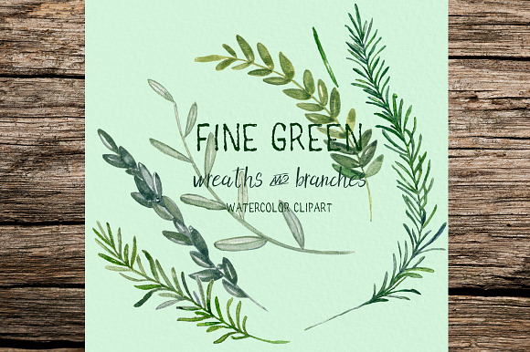Fine green rosemary. watercolor in Illustrations - product preview 4
