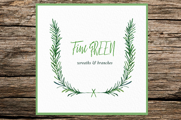 Fine green rosemary. watercolor in Illustrations - product preview 5