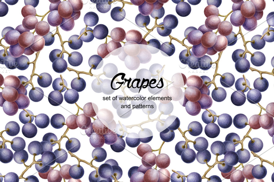 Set of watercolor grapes in Illustrations - product preview 8