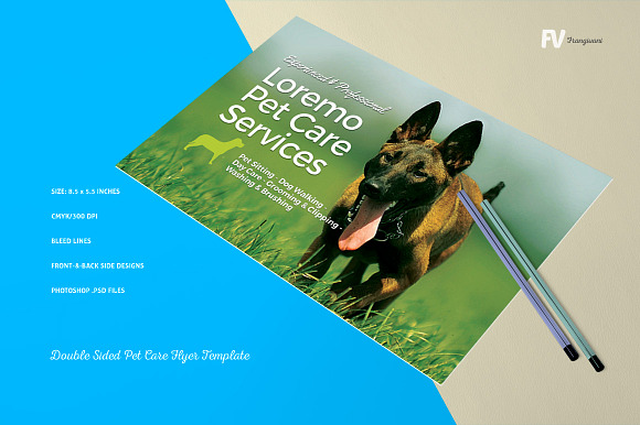 Double Sided Pet Care Flyer Template in Flyer Templates - product preview 2