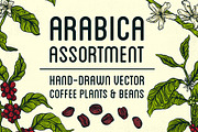 Arabica Assortment