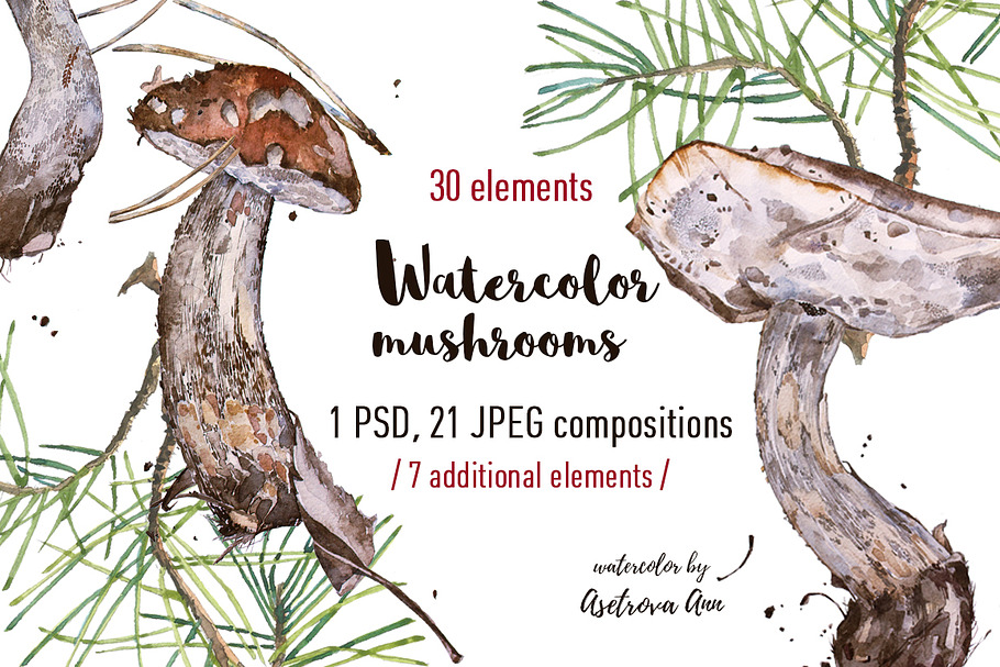 Watercolor  mushrooms in Illustrations - product preview 8