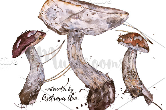 Watercolor  mushrooms in Illustrations - product preview 1