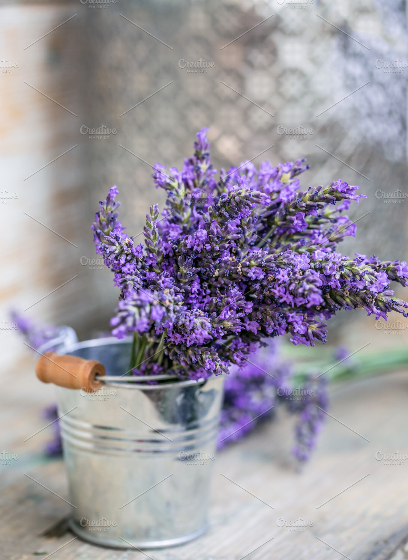 Bunch of lavender flowers | High-Quality Nature Stock Photos ~ Creative ...