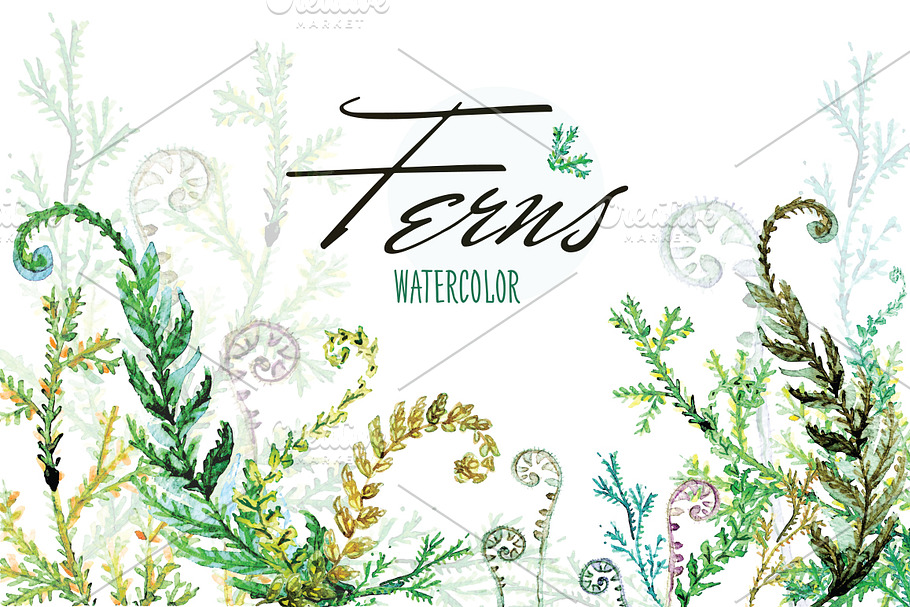 Watercolor Vector Ferns
