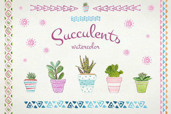 Succulents watercolor set