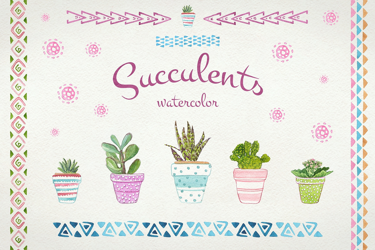 Succulents watercolor set in Illustrations - product preview 8
