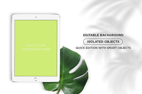 Mockup . iPhone & iPad Summer in Mobile & Web Mockups - product preview 2