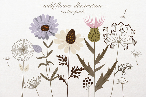 Wild flower illustration in Illustrations - product preview 1