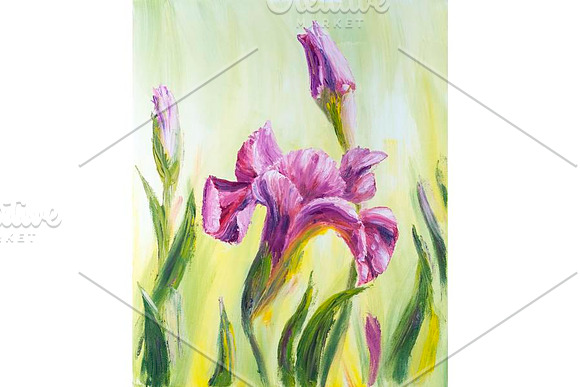 Irises, oil painting on canvas in Illustrations - product preview 1
