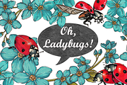 Oh, Ladybugs!...(marker collection)