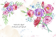 Watercolor flower elements, roses