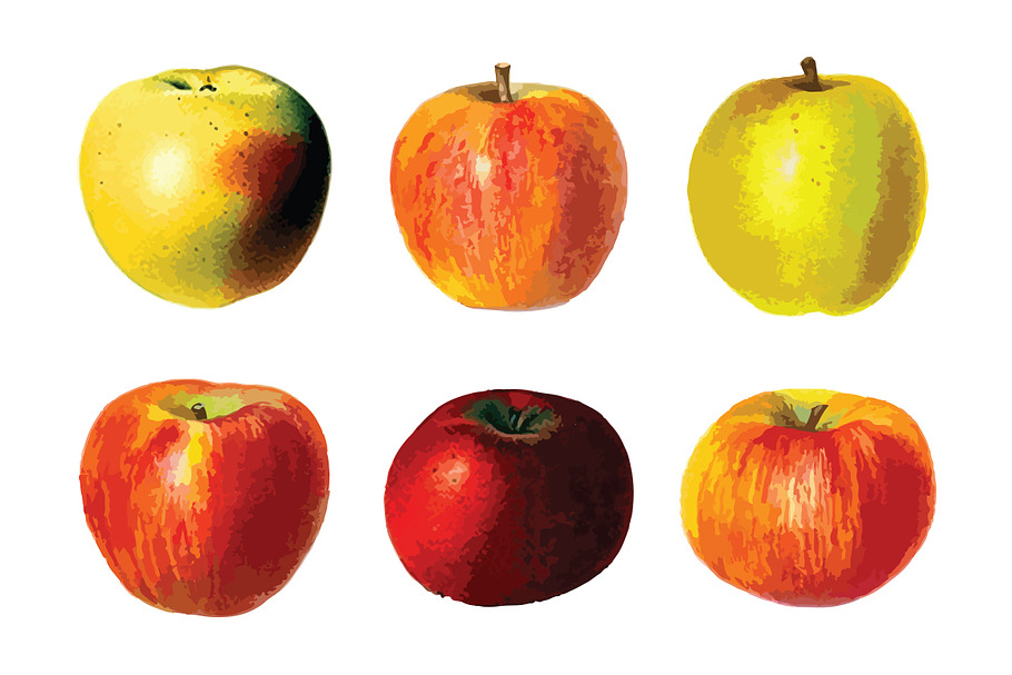 6 Vector Apple Illustration Pack in Illustrations - product preview 8