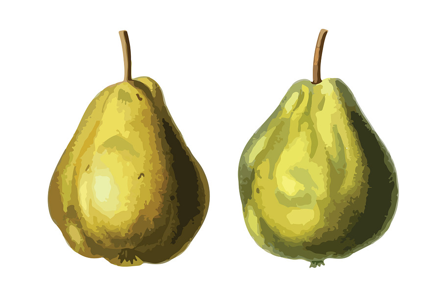 2 Vector Pear Illustrations in Illustrations - product preview 8