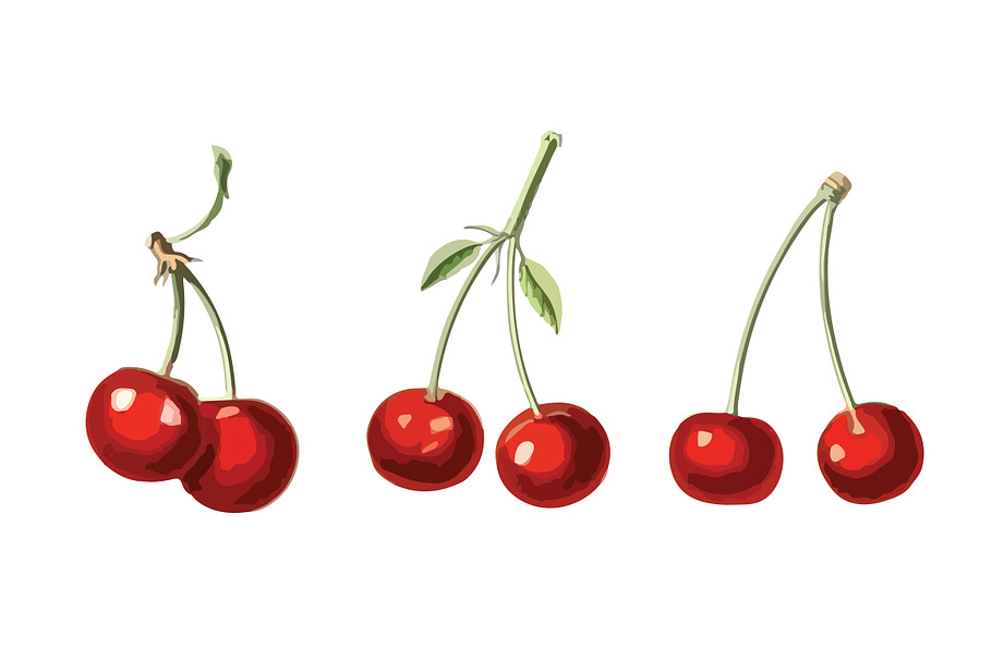 3 Vector Cherry Illustrations in Illustrations - product preview 8