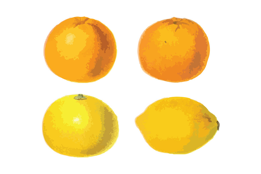 4 Vector Citrus Illustrations in Illustrations - product preview 8