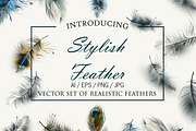 Vector realistic feathers set