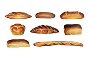Vector Breads Illustration Pack