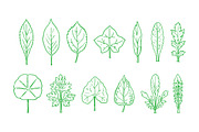 Contour Leaves Illustration Pack