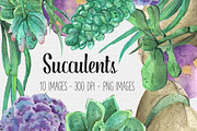 Watercolor Succulent Clipart