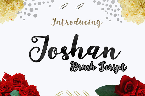 Joshan update