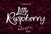 Little Raspberry Typeface+Extras