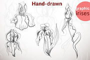 Hand-drawn graphic irises