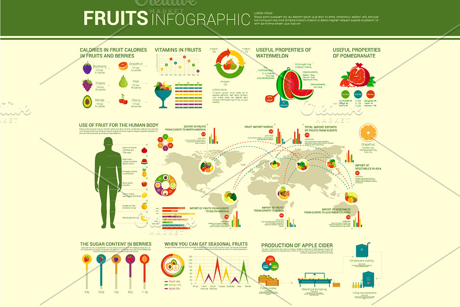 Fruits infographic design in Objects - product preview 8