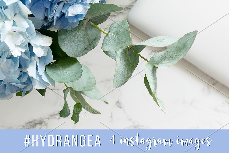 #Hydrangea. 4 Instagram images in Product Mockups - product preview 8