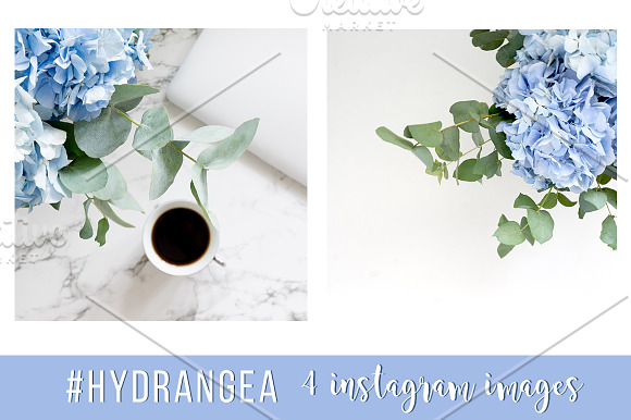 #Hydrangea. 4 Instagram images in Product Mockups - product preview 1