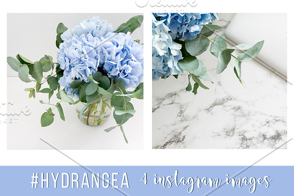 #Hydrangea. 4 Instagram images in Product Mockups - product preview 2