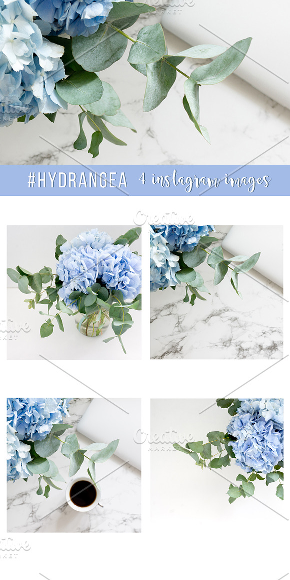 #Hydrangea. 4 Instagram images in Product Mockups - product preview 3