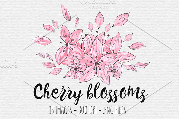 Cherry Blossom Watercolor Clipart