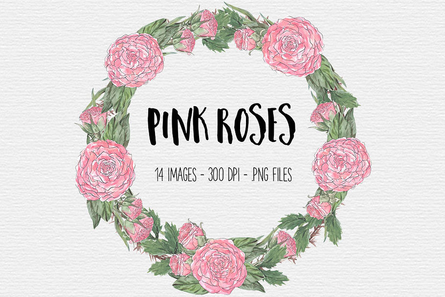Pink Rose Watercolor Clipart