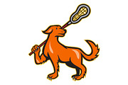 Dog With Lacrosse Stick Side View