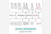 Dental Infographic