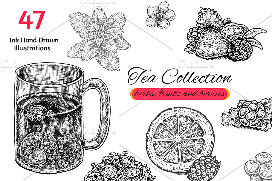 Tea Collection in Illustrations - product preview 8
