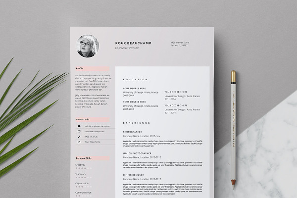 Resume Template 3-Page / Roux