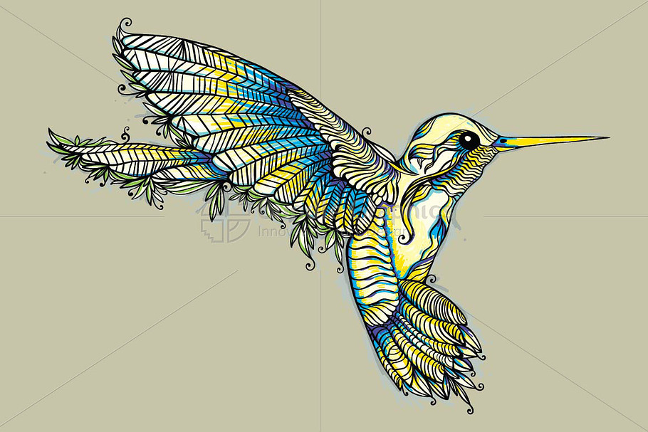 Humming Bird-Creative Vector Graphic
