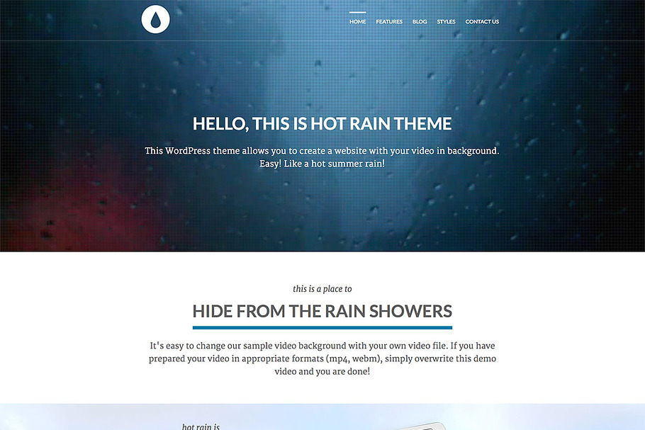 Hot Rain in WordPress Portfolio Themes - product preview 8