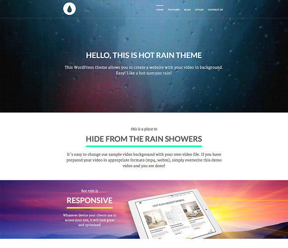Hot Rain in WordPress Portfolio Themes - product preview 3